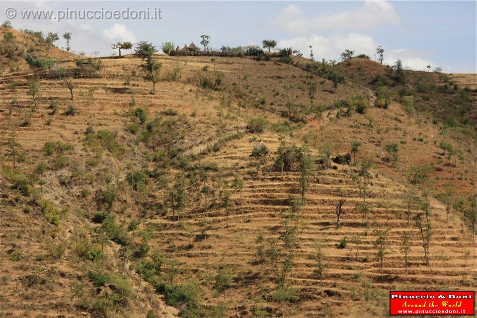 Ethiopia - 875.jpg